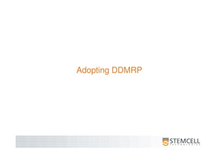 Adopting DDMRP
 