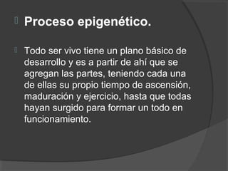  Proceso epigenético. 
 Todo ser vivo tiene un plano básico de 
desarrollo y es a partir de ahí que se 
agregan las partes, teniendo cada una 
de ellas su propio tiempo de ascensión, 
maduración y ejercicio, hasta que todas 
hayan surgido para formar un todo en 
funcionamiento. 
 