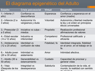 El diagrama epigenético del Adulto 
Estadio Crisis psicosocial Virtud Desarrolla 
1.- Infante (1 
Confianza vs 
año) 
desconfianza 
Esperanza Confianza y esperanza en el 
amor (madre) 
2.- Infancia (2 a 
3 años) 
Autonomía Vs 
vergüenza y duda 
Voluntad Autonomía y libertad mediante 
la ley y el orden en principios 
éticos universales 
3.- Preescolar (3 
a 5 años) 
Iniciativa vs culpa - 
miedos 
Propósito Realización profesional 
afirmaciones de valores 
4.- Edad escolar 
( 6 a 12 años) 
Industria vs 
inferioridad 
Competenci 
a 
Profesional calificado y 
eficiente 
5.- Adolescencia 
(12 a 20 años) 
Identidad vs 
confusión de roles 
Fidelidad, fe Identidad integrada, fidelidad 
en el amor, en el trabajo en la 
fe. 
6.- Adulto joven 
(20 a 30 años) 
Intimidad vs 
aislamiento 
Amor Intimidad afectiva . 
7.- Adulto (30 a 
50 años) 
Generabilidad vs 
estancamiento 
Cuidado Capacidad de procrear y 
generar vidas 
8.- Viejo 
(Después de los 
50) 
Integridad vs 
desesperanza 
Sabiduría Contemplación de la vida, el 
mundo, la realidad con sentido 
de plenitud 
 