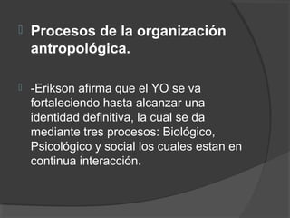  Procesos de la organización 
antropológica. 
 -Erikson afirma que el YO se va 
fortaleciendo hasta alcanzar una 
identidad definitiva, la cual se da 
mediante tres procesos: Biológico, 
Psicológico y social los cuales estan en 
continua interacción. 
 
