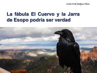 La fábula El Cuervo y la Jarra
de Esopo podría ser verdad
Carlos Erik Malpica Flores
 
