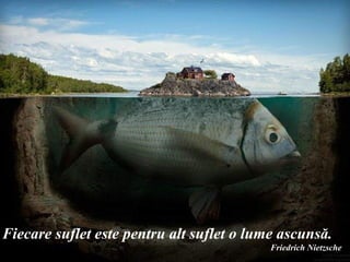 Fiecare suflet este pentru alt suflet o lume ascunsă.
    Donati pentru sinistratii din Haiti online : www.irffmd.net
                                                      Friedrich Nietzsche
 