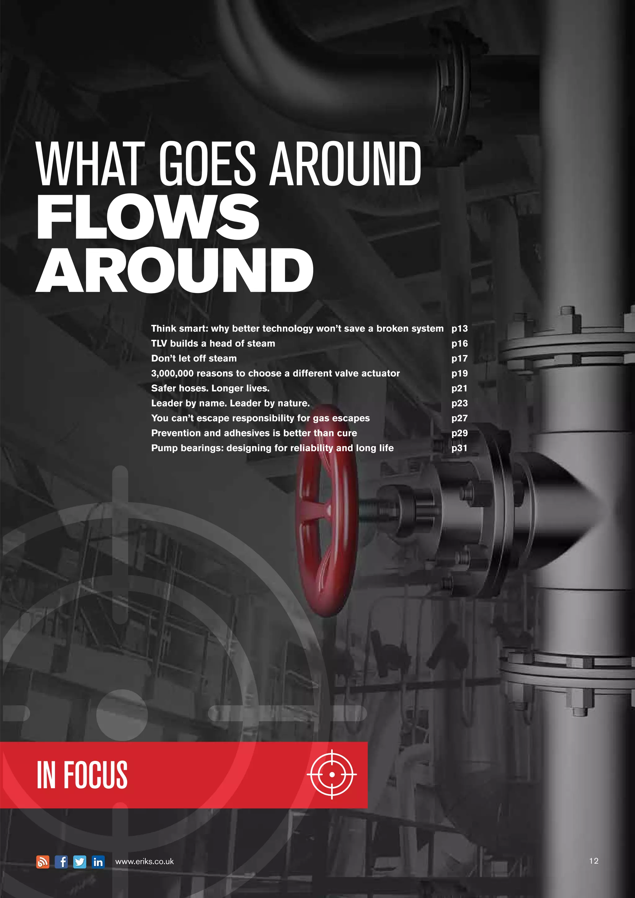 12
Think smart: why better technology won’t save a broken system	 p13
TLV builds a head of steam	 p16
Don’t let off steam	 p17
3,000,000 reasons to choose a different valve actuator	 p19
Safer hoses. Longer lives.	 p21
Leader by name. Leader by nature.	 p23
You can’t escape responsibility for gas escapes	 p27
Prevention and adhesives is better than cure	 p29
Pump bearings: designing for reliability and long life	 p31
IN FOCUS
12www.eriks.co.uk
WHAT GOES AROUND
FLOWS
AROUND
 