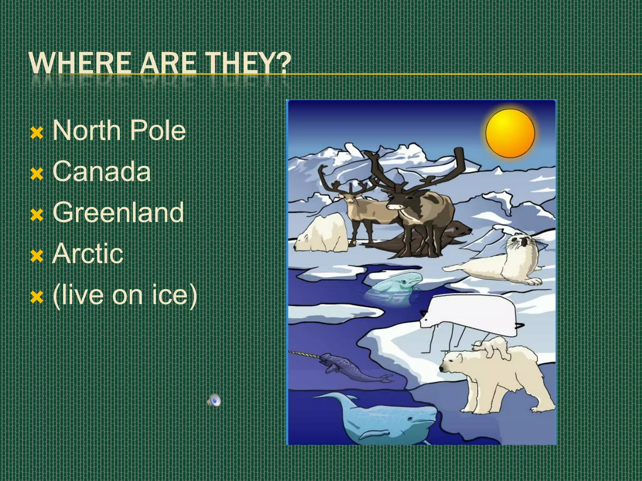 Where are they?North PoleCanadaGreenlandArctic(live on ice)