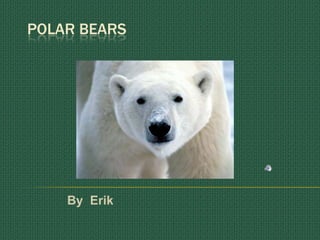 POLAR BEARS By  Erik 