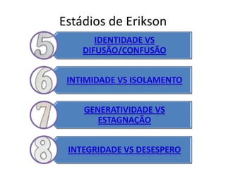 Estádios de Erikson
 
