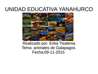 UNIDAD EDUCATIVA YANAHURCO
Realizado por: Erika Tisalema
Tema: animales de Galapagos.
Fecha:09-11-2015
 