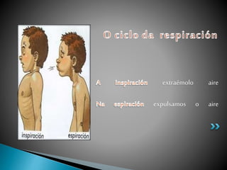 extraémolo aire
expulsamos o aire
 