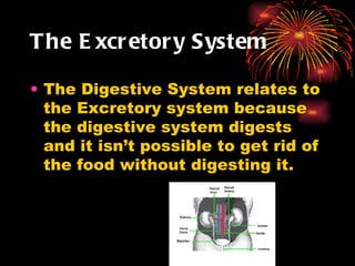 The Excretory System The Digestive System relates to the Excretory system because the digestive system digests and it isn’t possible to get rid of the food without digesting it. 