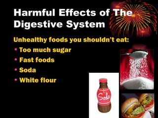 Harmful Effects of The Digestive System Unhealthy foods you shouldn’t eat: Too much sugar Fast foods Soda White flour 