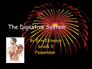 The Digestive System By Erin Elchesyn Grade 5 Fessenden  