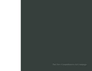 Part Two: Comprehensive Ad Campaign
 