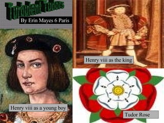 Turbulent Tudors Henry viii as a young boy Tudor Rose  Henry viii as the king By   Erin   Mayes 6 Paris 