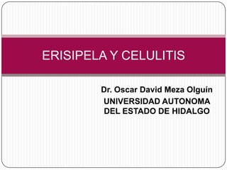ERISIPELA Y CELULITIS

        Dr. Oscar David Meza Olguín
        UNIVERSIDAD AUTONOMA
        DEL ESTADO DE HIDALGO
 