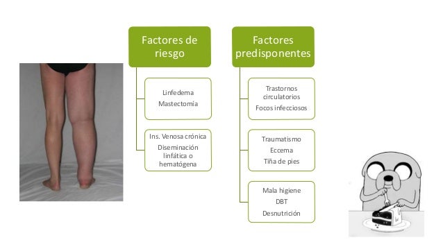Atopichesky la dermatitis no pasa el mes