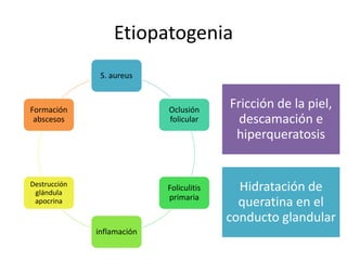 Etiopatogenia
S. aureus
Oclusión
folicular
Foliculitis
primaria
inflamación
Destrucción
glándula
apocrina
Formación
abscesos
Fricción de la piel,
descamación e
hiperqueratosis
Hidratación de
queratina en el
conducto glandular
 