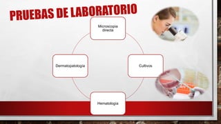 Microscopia
directa
Cultivos
Hematología
Dermatopatología
 