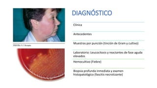 DIAGNÓSTICO
Clínica
Antecedentes
Muestras por punción (tinción de Gram y cultivo)
Laboratorio: Leucocitosis y reactantes de fase aguda
elevados
Hemocultivo (Fiebre)
Biopsia profunda inmediata y examen
histopatológico (fascitis necrotizante)
 