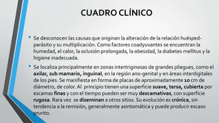 CUADRO CLÍNICO
• Se desconocen las causas que originan la alteración de la relación huésped-
parásito y su multiplicación. Como factores coadyuvantes se encuentran la
humedad, el calor, la oclusión prolongada, la obesidad, la diabetes mellitus y la
higiene inadecuada.
• Se localiza principalmente en zonas intertriginosas de grandes pliegues, como el
axilar, sub mamario, inguinal, en la región ano-genital y en áreas interdigitales
de los pies. Se manifiesta en forma de placas de aproximadamente 10 cm de
diámetro, de color. Al principio tienen una superficie suave, tersa, cubierta por
escamas finas y con el tiempo pueden ser muy descamativas, con superficie
rugosa. Rara vez se diseminan a otros sitios. Su evolución es crónica, sin
tendencia a la remisión, generalmente asintomática y puede producir escaso
prurito.
 
