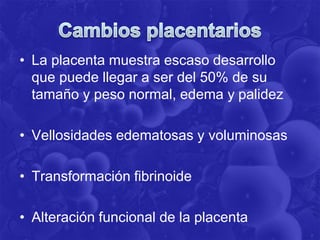 • La placenta muestra escaso desarrollo
que puede llegar a ser del 50% de su
tamaño y peso normal, edema y palidez
• Vellosidades edematosas y voluminosas
• Transformación fibrinoide
• Alteración funcional de la placenta
 