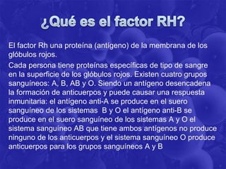 El factor Rh una proteína (antígeno) de la membrana de los
glóbulos rojos.
Cada persona tiene proteínas específicas de tipo de sangre
en la superficie de los glóbulos rojos. Existen cuatro grupos
sanguíneos: A, B, AB y O. Siendo un antígeno desencadena
la formación de anticuerpos y puede causar una respuesta
inmunitaria: el antígeno anti-A se produce en el suero
sanguíneo de los sistemas B y O el antígeno anti-B se
produce en el suero sanguíneo de los sistemas A y O el
sistema sanguíneo AB que tiene ambos antígenos no produce
ninguno de los anticuerpos y el sistema sanguíneo O produce
anticuerpos para los grupos sanguíneos A y B
 