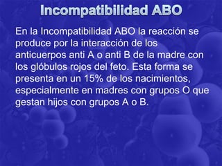 En la Incompatibilidad ABO la reacción se
produce por la interacción de los
anticuerpos anti A o anti B de la madre con
los glóbulos rojos del feto. Esta forma se
presenta en un 15% de los nacimientos,
especialmente en madres con grupos O que
gestan hijos con grupos A o B.
 