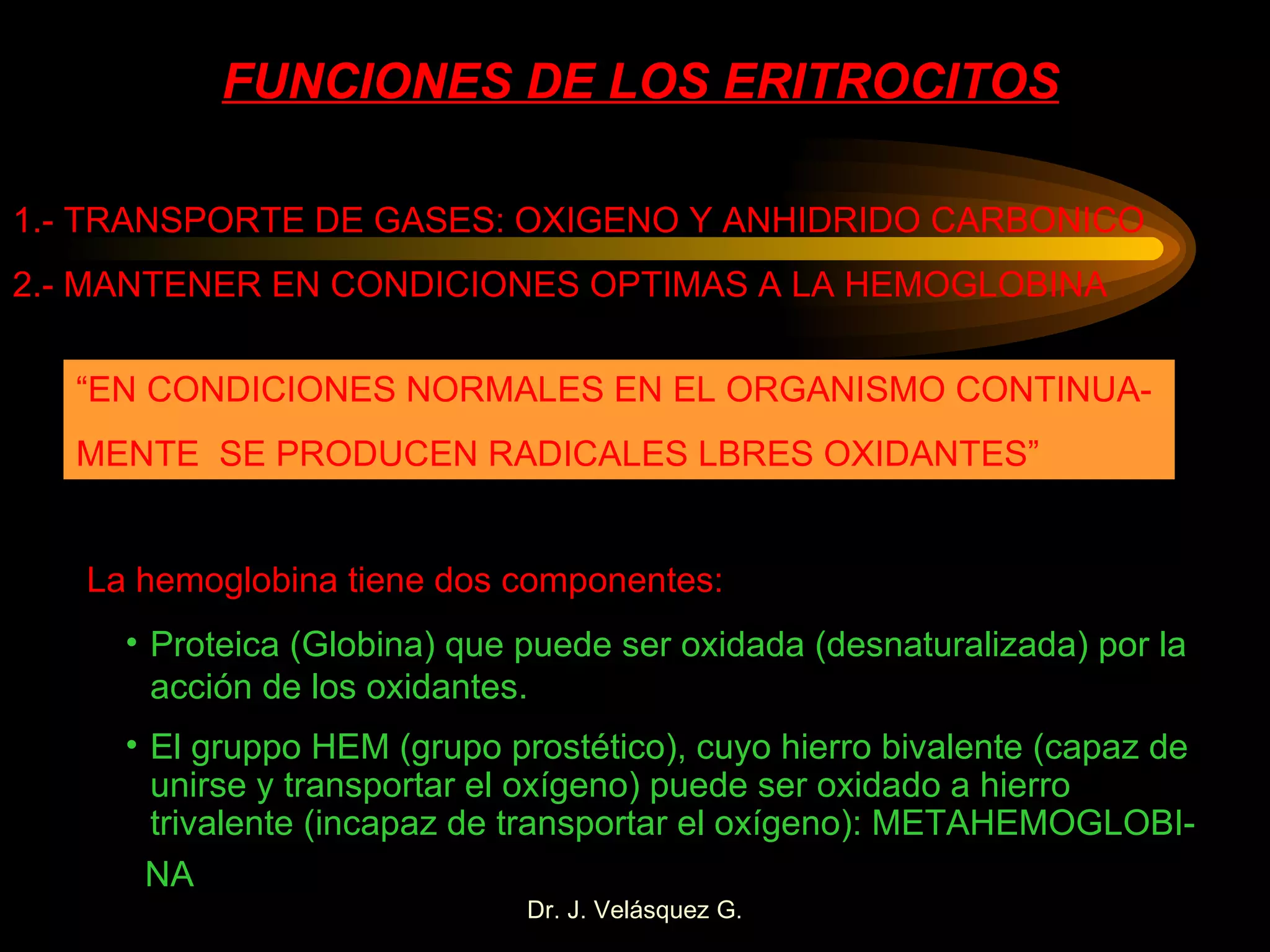 FUNCIONES DE LOS ERITROCITOS 1.- TRANSPORTE DE GASES: OXIGENO Y ANHIDRIDO CARBONICO 2.- MANTENER EN CONDICIONES OPTIMAS A LA HEMOGLOBINA “ EN CONDICIONES NORMALES EN EL ORGANISMO CONTINUA- MENTE  SE PRODUCEN RADICALES LBRES OXIDANTES” La hemoglobina tiene dos componentes: Proteica (Globina) que puede ser oxidada (desnaturalizada) por la acción de los oxidantes. El gruppo HEM (grupo prostético), cuyo hierro bivalente (capaz de unirse y transportar el oxígeno) puede ser oxidado a hierro trivalente (incapaz de transportar el oxígeno): METAHEMOGLOBI- NA 