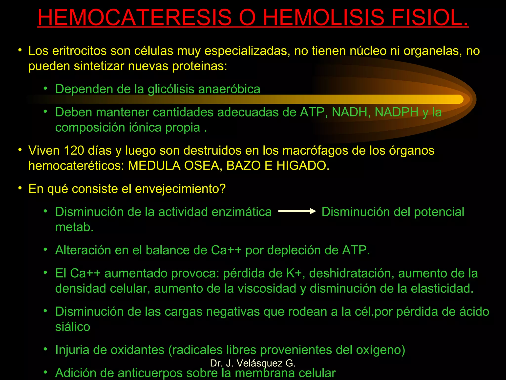 HEMOCATERESIS O HEMOLISIS FISIOL. Los eritrocitos son células muy especializadas, no tienen núcleo ni organelas, no pueden sintetizar nuevas proteinas: Dependen de la glicólisis anaeróbica Deben mantener cantidades adecuadas de ATP, NADH, NADPH y la composición iónica propia . Viven 120 días y luego son destruidos en los macrófagos de los órganos hemocateréticos: MEDULA OSEA, BAZO E HIGADO. En qué consiste el envejecimiento? Disminución de la actividad enzimática  Disminución del potencial metab. Alteración en el balance de Ca++ por depleción de ATP. El Ca++ aumentado provoca: pérdida de K+, deshidratación, aumento de la densidad celular, aumento de la viscosidad y disminución de la elasticidad. Disminución de las cargas negativas que rodean a la cél.por pérdida de ácido siálico Injuria de oxidantes (radicales libres provenientes del oxígeno) Adición de anticuerpos sobre la membrana celular 