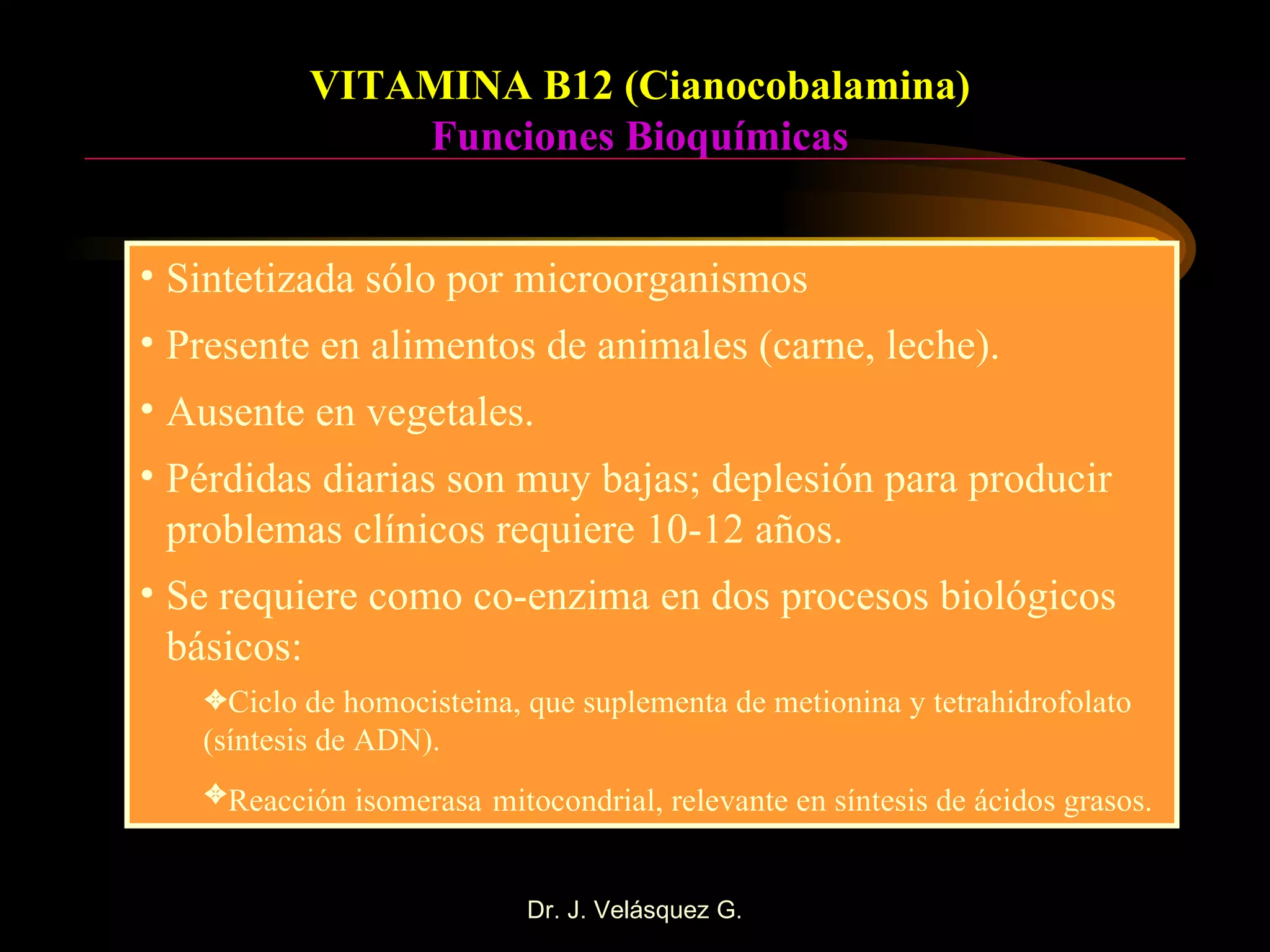 VITAMINA B12 (Cianocobalamina) Funciones Bioquímicas Sintetizada sólo por microorganismos Presente en alimentos de animales (carne, leche). Ausente en vegetales. Pérdidas diarias son muy bajas; deplesión para producir problemas clínicos requiere 10-12 años. Se requiere como co-enzima en dos procesos biológicos básicos: Ciclo de homocisteina, que suplementa de metionina y tetrahidrofolato (síntesis de ADN). Reacción isomerasa   mitocondrial, relevante en síntesis de ácidos grasos. 