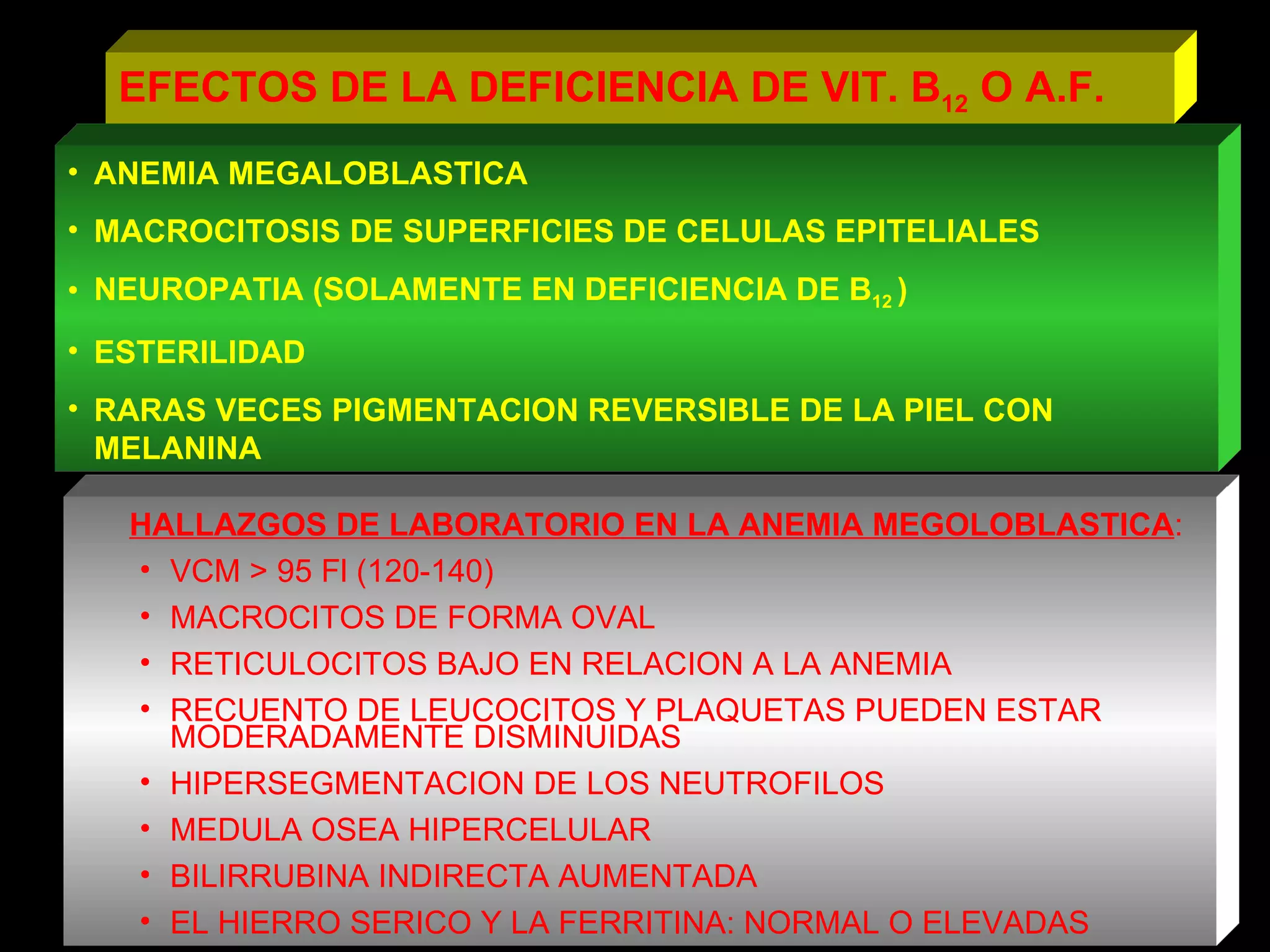 EFECTOS DE LA DEFICIENCIA DE VIT. B 12  O A.F. ANEMIA MEGALOBLASTICA MACROCITOSIS DE SUPERFICIES DE CELULAS EPITELIALES NEUROPATIA (SOLAMENTE EN DEFICIENCIA DE B 12  ) ESTERILIDAD RARAS VECES PIGMENTACION REVERSIBLE DE LA PIEL CON MELANINA HALLAZGOS DE LABORATORIO EN LA ANEMIA MEGOLOBLASTICA : VCM > 95 Fl (120-140) MACROCITOS DE FORMA OVAL RETICULOCITOS BAJO EN RELACION A LA ANEMIA RECUENTO DE LEUCOCITOS Y PLAQUETAS PUEDEN ESTAR MODERADAMENTE DISMINUIDAS HIPERSEGMENTACION DE LOS NEUTROFILOS MEDULA OSEA HIPERCELULAR BILIRRUBINA INDIRECTA AUMENTADA EL HIERRO SERICO Y LA FERRITINA: NORMAL O ELEVADAS 