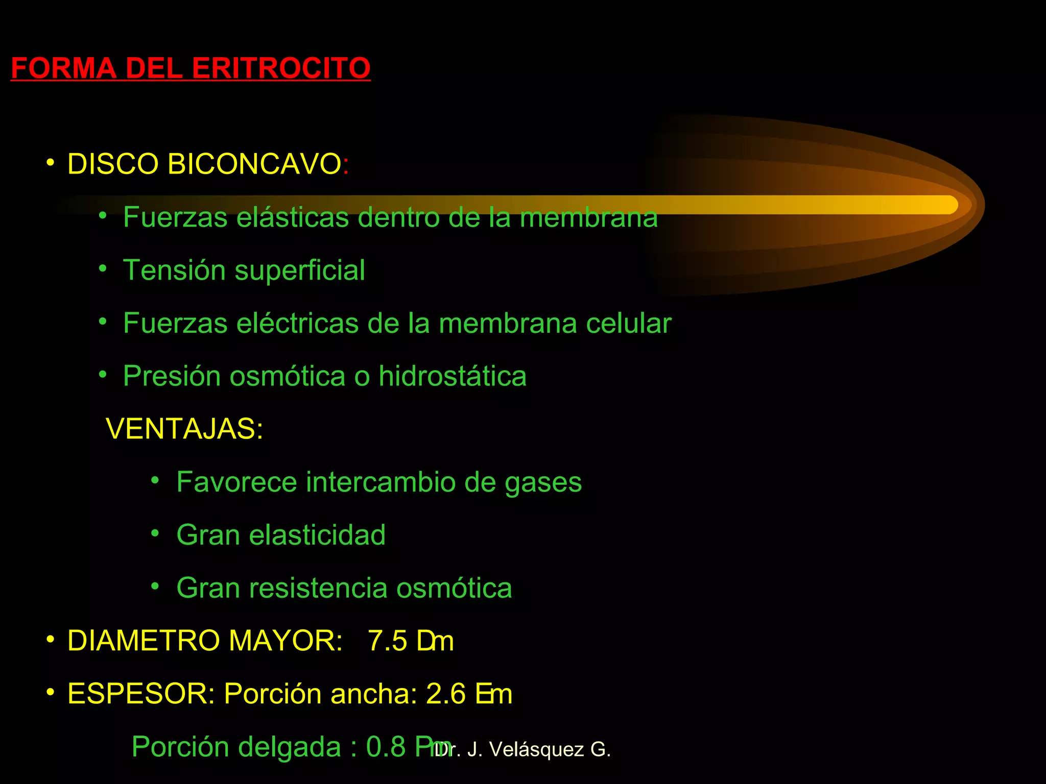 FORMA DEL ERITROCITO DISCO BICONCAVO : Fuerzas elásticas dentro de la membrana Tensión superficial Fuerzas eléctricas de la membrana celular Presión osmótica o hidrostática VENTAJAS: Favorece intercambio de gases Gran elasticidad Gran resistencia osmótica DIAMETRO MAYOR:  7.5   m ESPESOR: Porción ancha: 2.6   m   Porción delgada : 0.8   m 