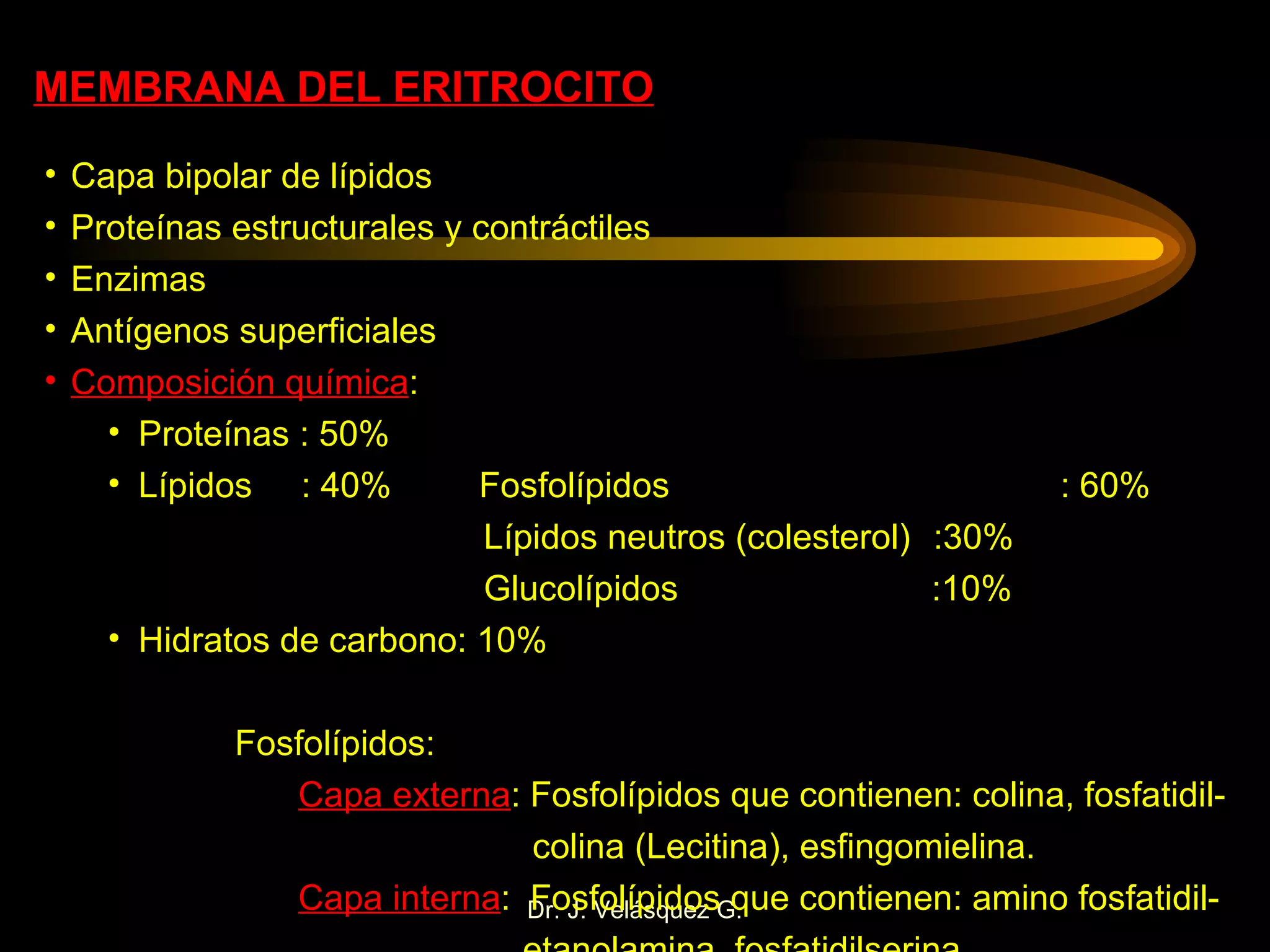 MEMBRANA DEL ERITROCITO Capa bipolar de lípidos Proteínas estructurales y contráctiles Enzimas Antígenos superficiales Composición química : Proteínas : 50% Lípidos  : 40%  Fosfolípidos  : 60%   Lípidos neutros (colesterol) :30%   Glucolípidos  :10% Hidratos de carbono: 10% Fosfolípidos: Capa externa : Fosfolípidos que contienen: colina, fosfatidil-   colina (Lecitina), esfingomielina. Capa interna :  Fosfolípidos que contienen: amino fosfatidil-   etanolamina, fosfatidilserina. 