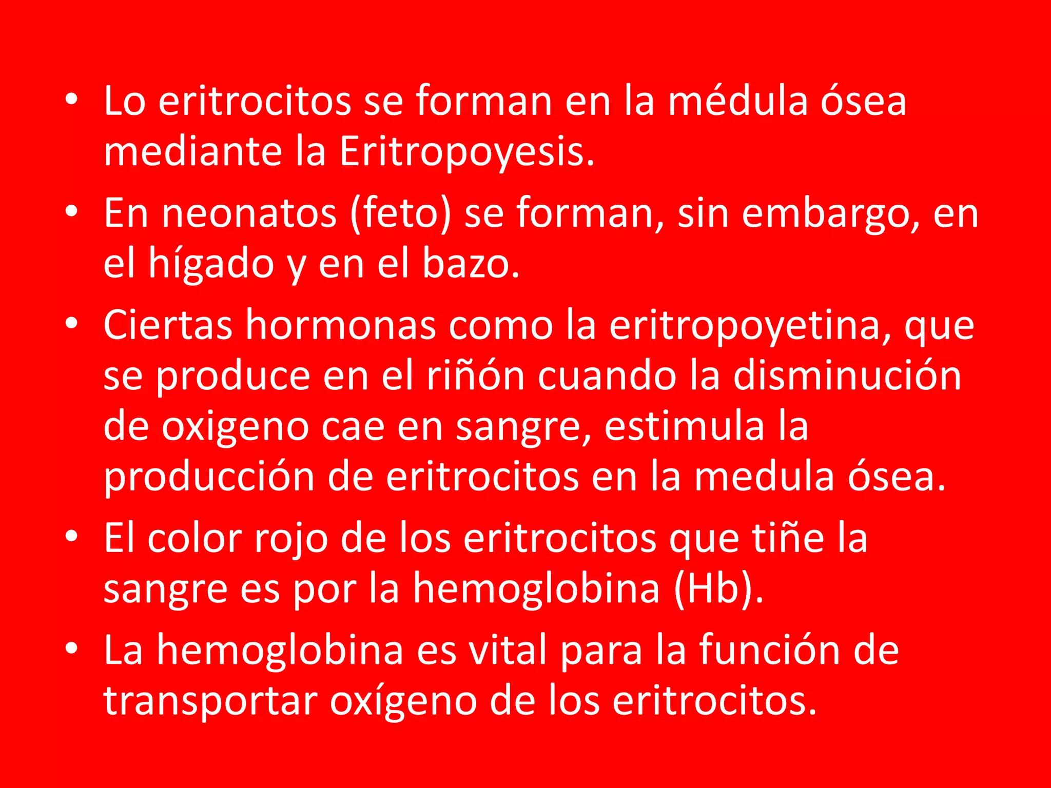 • Lo eritrocitos se forman en la médula ósea
mediante la Eritropoyesis.
• En neonatos (feto) se forman, sin embargo, en
el hígado y en el bazo.
• Ciertas hormonas como la eritropoyetina, que
se produce en el riñón cuando la disminución
de oxigeno cae en sangre, estimula la
producción de eritrocitos en la medula ósea.
• El color rojo de los eritrocitos que tiñe la
sangre es por la hemoglobina (Hb).
• La hemoglobina es vital para la función de
transportar oxígeno de los eritrocitos.
 