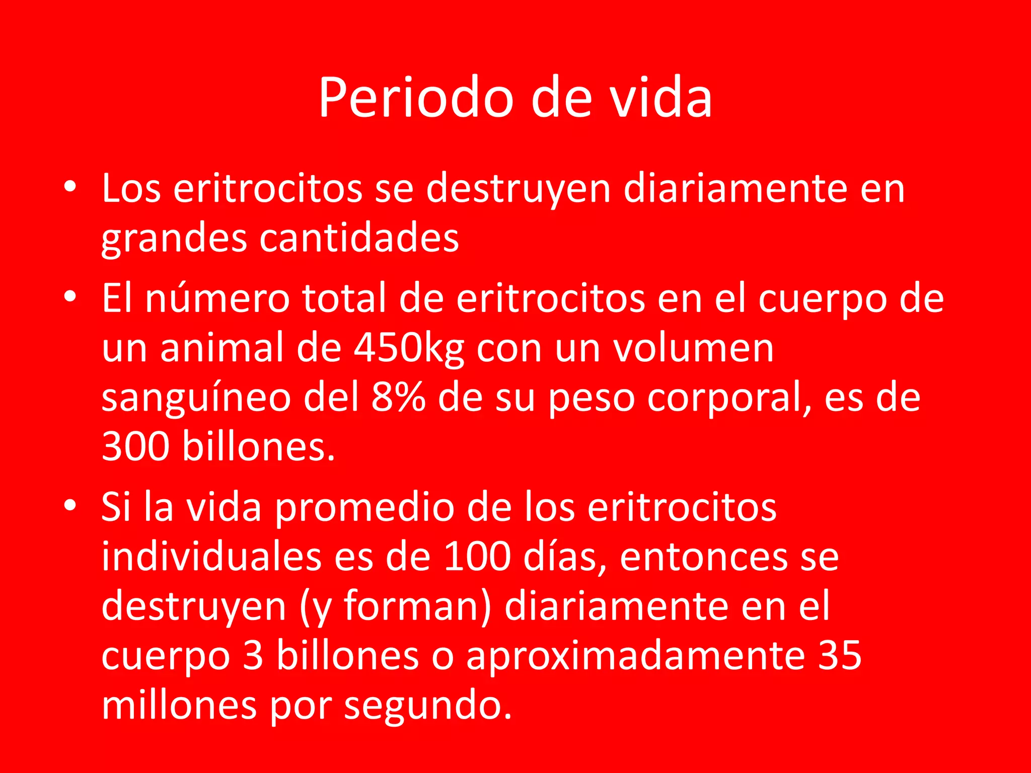 Periodo de vida
• Los eritrocitos se destruyen diariamente en
grandes cantidades
• El número total de eritrocitos en el cuerpo de
un animal de 450kg con un volumen
sanguíneo del 8% de su peso corporal, es de
300 billones.
• Si la vida promedio de los eritrocitos
individuales es de 100 días, entonces se
destruyen (y forman) diariamente en el
cuerpo 3 billones o aproximadamente 35
millones por segundo.
 