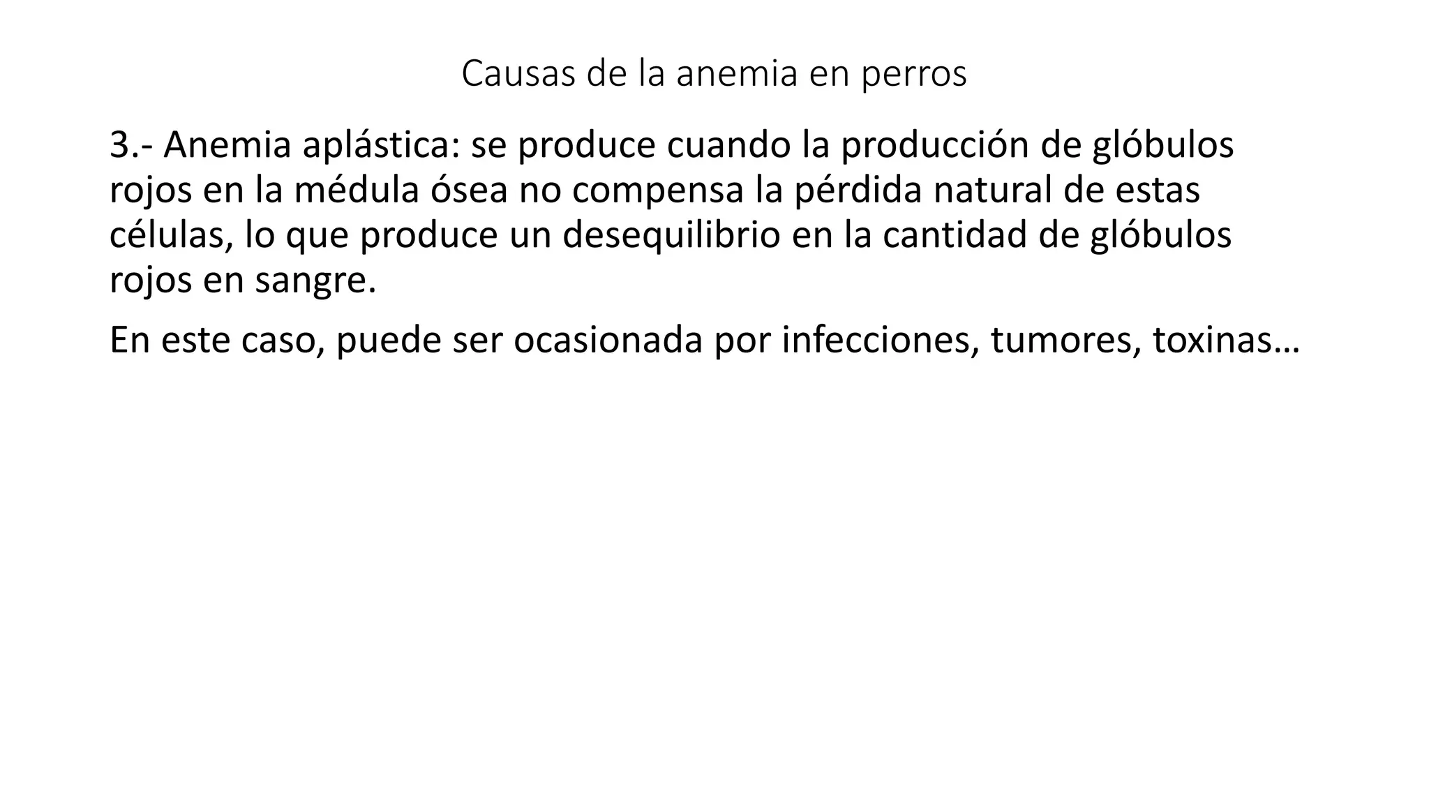 Causas de la anemia en perros
3.- Anemia aplástica: se produce cuando la producción de glóbulos
rojos en la médula ósea no compensa la pérdida natural de estas
células, lo que produce un desequilibrio en la cantidad de glóbulos
rojos en sangre.
En este caso, puede ser ocasionada por infecciones, tumores, toxinas…
 