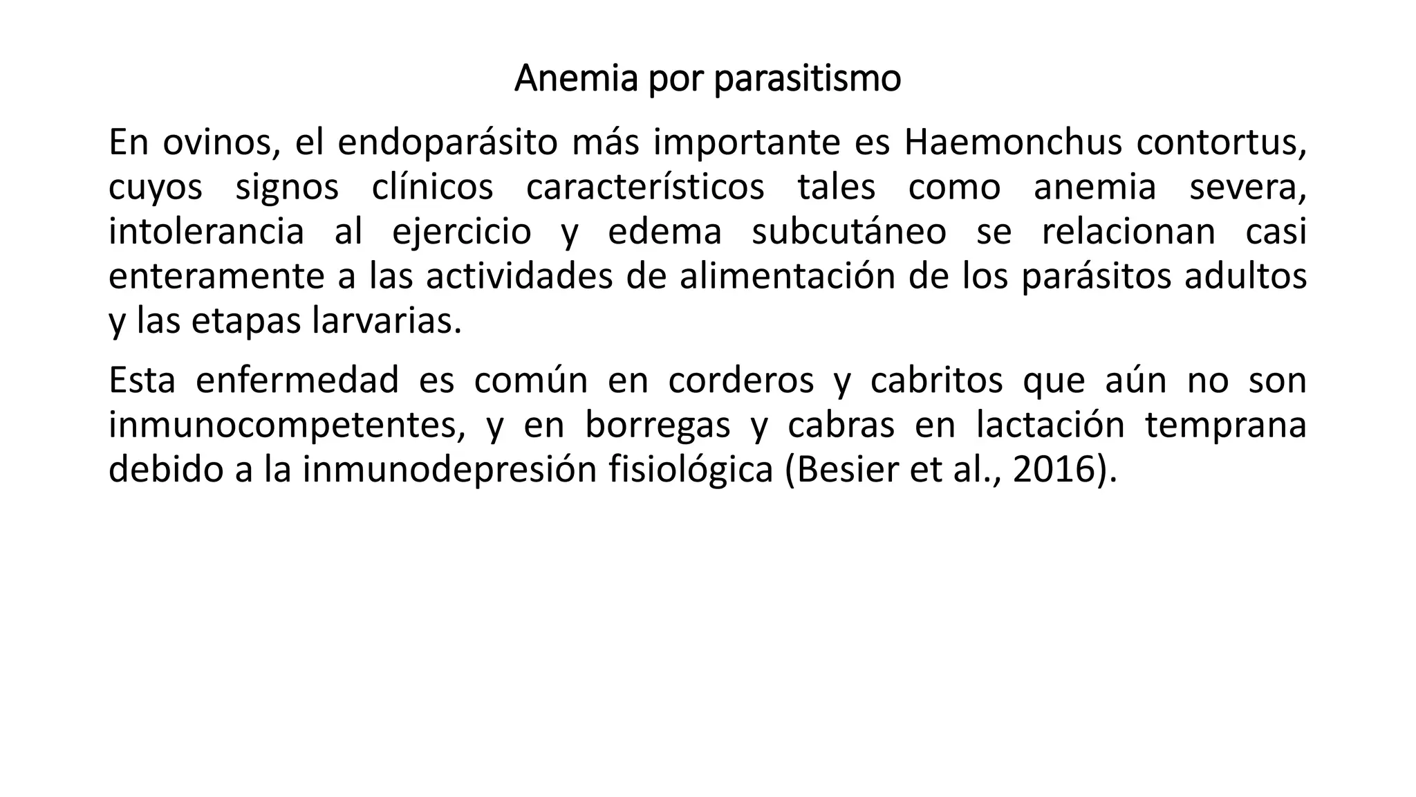 Anemia por parasitismo
En ovinos, el endoparásito más importante es Haemonchus contortus,
cuyos signos clínicos característicos tales como anemia severa,
intolerancia al ejercicio y edema subcutáneo se relacionan casi
enteramente a las actividades de alimentación de los parásitos adultos
y las etapas larvarias.
Esta enfermedad es común en corderos y cabritos que aún no son
inmunocompetentes, y en borregas y cabras en lactación temprana
debido a la inmunodepresión fisiológica (Besier et al., 2016).
 