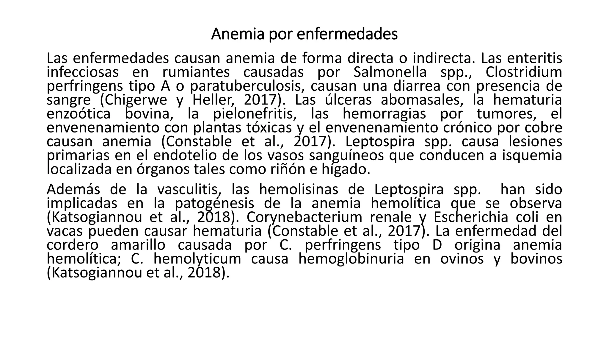 Anemia por enfermedades
Las enfermedades causan anemia de forma directa o indirecta. Las enteritis
infecciosas en rumiantes causadas por Salmonella spp., Clostridium
perfringens tipo A o paratuberculosis, causan una diarrea con presencia de
sangre (Chigerwe y Heller, 2017). Las úlceras abomasales, la hematuria
enzoótica bovina, la pielonefritis, las hemorragias por tumores, el
envenenamiento con plantas tóxicas y el envenenamiento crónico por cobre
causan anemia (Constable et al., 2017). Leptospira spp. causa lesiones
primarias en el endotelio de los vasos sanguíneos que conducen a isquemia
localizada en órganos tales como riñón e hígado.
Además de la vasculitis, las hemolisinas de Leptospira spp. han sido
implicadas en la patogénesis de la anemia hemolítica que se observa
(Katsogiannou et al., 2018). Corynebacterium renale y Escherichia coli en
vacas pueden causar hematuria (Constable et al., 2017). La enfermedad del
cordero amarillo causada por C. perfringens tipo D origina anemia
hemolítica; C. hemolyticum causa hemoglobinuria en ovinos y bovinos
(Katsogiannou et al., 2018).
 