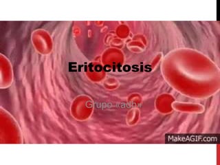 Eritocitosis
Grupo «adh»
 
