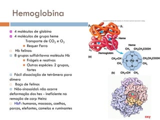 Hemoglobina
  4 moléculas de globina
 4 moléculas de grupo heme
          Transporte de CO2 e O2
          Requer Ferro
 Hb felinos:
 8 grupos sulfidrilavna molécula Hb
          Frágeis e reativas
          Outras espécies: 2 grupos,
           fortes
 Fácil dissociação de tetrâmero para
dímero
 Baço de felinos
 Não-sinosoidal: não ocorre
deformação das hes - ineficiente na
remoção de corp Heinz
 HbF: humanos, macacos, coelhos,

porcos, elefantes, camelos e ruminantes
 