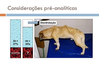 Considerações pré-analíticas

                 Desidratação




  Ht =    Ht =
  27%     35%


 anemia    ?
 