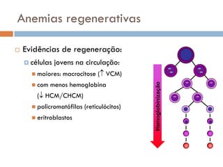 Anemias regenerativas

   Evidências de regeneração:
     células   jovens na circulação:
       maiores:   macrocitose ( VCM)
       com   menos hemoglobina




                                             Hemoglobinização
        ( HCM/CHCM)
       policromatófilas   (reticulócitos)
       eritroblastos
 