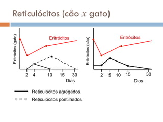 Reticulócitos (cão x gato)
Eritrócitos (gato)




                                       Eritrócitos                                        Eritrócitos




                                                         Eritrócitos (cão)
                                                                            

                                                                                         

                                                                               
                                                                                     

                                                                                             

                         2   4      10      15      30                           2   5   10   15          30
                                                 Dias                                              Dias

                             Reticulócitos agregados
                             Reticulócitos pontilhados
 