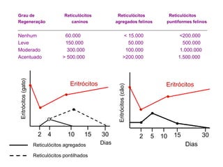Grau de                                 Reticulócitos             Reticulócitos                     Reticulócitos
Regeneração                                caninos               agregados felinos                 puntiformes felinos


Nenhum                                  60.000                             < 15.000                      <200.000
Leve                                    150.000                              50.000                       500.000
Moderado                                 300.000                            100.000                      1.000.000
Acentuado                              > 500.000                           >200.000                     1.500.000
 Eritrócitos (gato)




                                           Eritrócitos                                            Eritrócitos




                                                                  Eritrócitos (cão)
                                                                                      
                                                                                                  

                                                                                        
                                                                                              

                                                                                                      

                            2   4        10      15       30                              2   5   10   15            30
                          Reticulócitos agregados         Dias                                              Dias
                          Reticulócitos pontilhados
 