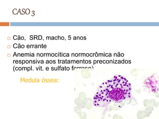 CASO 3

   Cão, SRD, macho, 5 anos
   Cão errante
   Anemia normocítica normocrômica não
    responsiva aos tratamentos preconizados
    (compl. vit. e sulfato ferroso)
      Medula óssea:


Leishmaniose
 