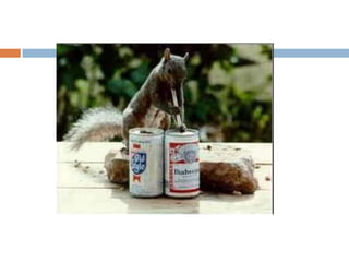 Eritrograma  - Anclivepa 2011