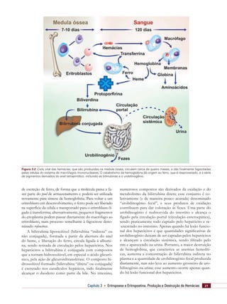 21Capítulo 3    Eritropoese e Eritropoetina. Produção e Destruição de Hemácias
de excreção de ferro, de forma que a molécula passa a fa-
zer parte do pool de armazenamento e poderá ser utilizada
novamente para síntese de hemoglobina. Para voltar a um
eritroblasto em desenvolvimento, o ferro pode ser liberado
na superfície da célula e transportado para o eritroblasto li-
gado à transferrina; alternativamente, pequenos fragmentos
do citoplasma podem passar diretamente do macrófago ao
eritroblasto, num processo semelhante à fagocitose deno-
minado rofeocitose.
A bilirrubina lipossolúvel (bilirrubina “indireta” ou
não conjugada), formada a partir da abertura do anel
do heme, e liberação do ferro, circula ligada à albumi-
na, sendo retirada de circulação pelos hepatócitos. Nos
hepatócitos a bilirrubina é conjugada com compostos
que a tornam hidrossolúvel, em especial o ácido glicurô-
nico, pela ação de glicuroniltransferase. O composto hi-
drossolúvel formado (bilirrubina “direta” ou conjugada)
é excretado nos canalículos hepáticos, indo finalmente
alcançar o duodeno como parte da bile. No intestino,
numerosos compostos são derivados da oxidação e do
metabolismo da bilirrubina direta; esse conjunto é co-
letivamente (e de maneira pouco acurada) denominado
“urobilinogênio fecal”, e seus produtos de oxidação
contribuem para dar coloração às fezes. Uma parte do
urobilinogênio é reabsorvida do intestino e alcança o
fígado pela circulação portal (circulação enteroepática),
sendo praticamente todo captado pelo hepatócito e re-
-excretado no intestino. Apenas quando há lesão funcio-
nal dos hepatócitos é que quantidades significativas de
urobilinogênio deixam de ser captadas pelos hepatócitos
e alcançam a circulação sistêmica, sendo filtrado pelo
rim e aparecendo na urina. Portanto, a maior destruição
de hemoglobina, que caracteriza as anemias hemolíti-
cas, aumenta a concentração de bilirrubina indireta no
plasma e a quantidade de urobilinogênio fecal produzida
diariamente, mas não leva ao aumento grosseiro de uro-
bilinogênio na urina; esse aumento ocorre apenas quan-
do há lesão funcional dos hepatócitos.
Figura 3.2  Ciclo vital das hemácias, que são produzidas na medula óssea, circulam cerca de quatro meses, e são finalmente fagocitadas
pelas células do sistema de macrófagos mononucleares. O catabolismo da hemoglobina dá origem ao ferro, que é reaproveitado, e à série
de pigmentos derivados do anel tetrapirrólico, incluindo as bilirrubinas e o urobilinogênio.
 