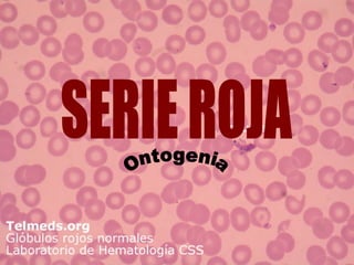 SERIE ROJA Ontogenia 