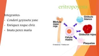eritropoyesis
Integrantes:
• Condori goyzueta yane
• Enriquez roque elviz
• Imata perez maria
 