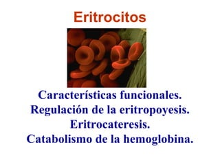 Eritrocitos
Características funcionales.
Regulación de la eritropoyesis.
Eritrocateresis.
Catabolismo de la hemoglobina.
 