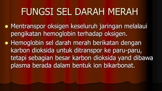 FUNGSI SEL DARAH MERAH
 Mentranspor oksigen keseluruh jaringan melalaui
pengikatan hemoglobin terhadap oksigen.
 Hemoglobin sel darah merah berikatan dengan
karbon dioksida untuk ditranspor ke paru-paru,
tetapi sebagian besar karbon dioksida yand dibawa
plasma berada dalam bentuk ion bikarbonat.
 